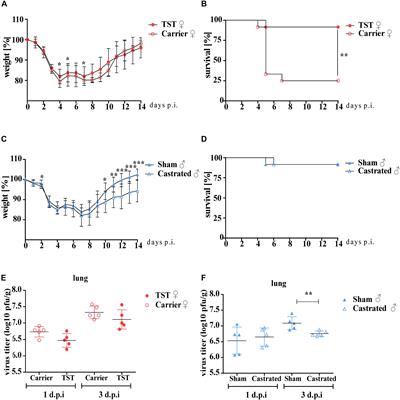 Testosterone Protects Against Severe Influenza by Reducing the Pro-Inflammatory Cytokine Response in the Murine Lung